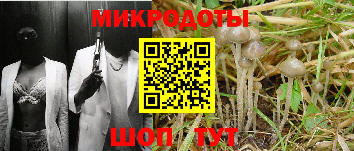 Псилоцибиновые грибы мухоморы Подольск